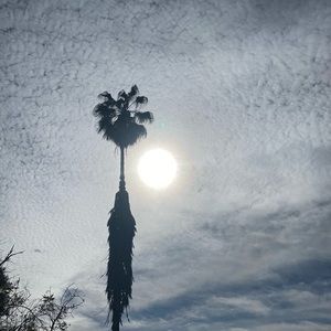 Meet your Posher, Elle